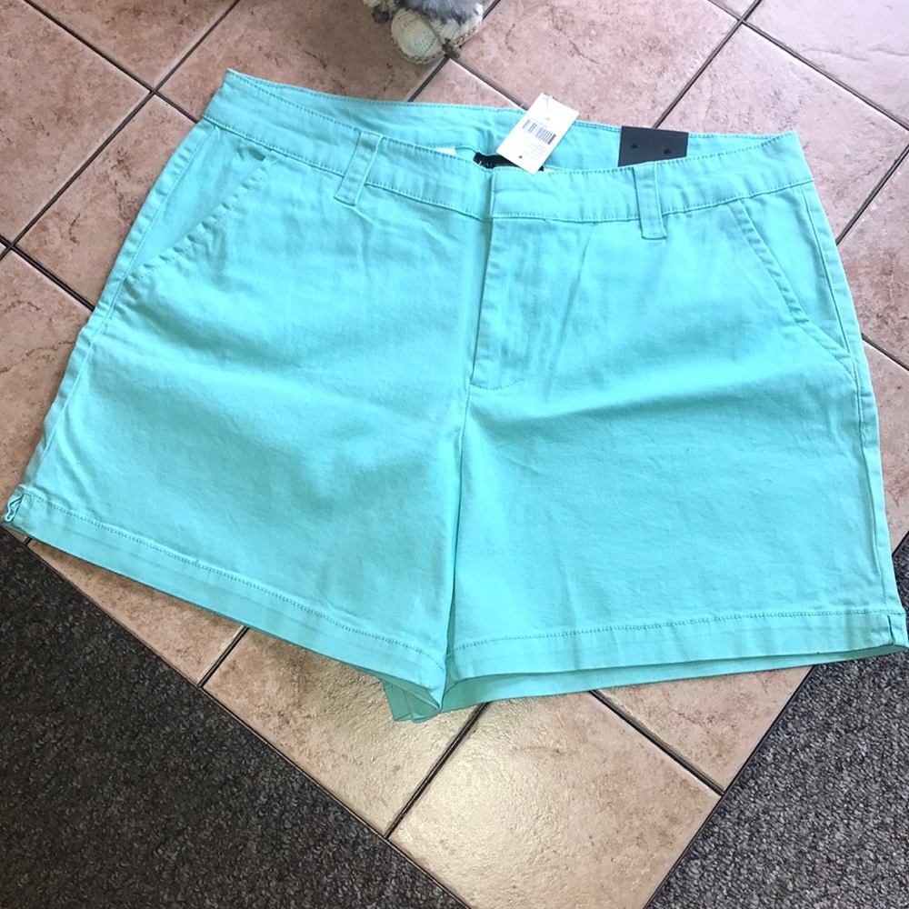 Lane Bryant Shorts